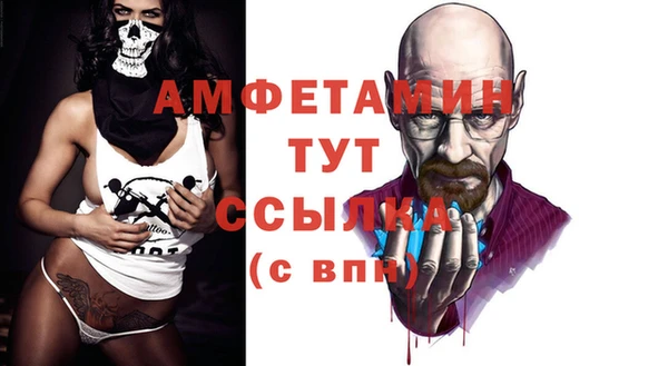 индика Бугульма