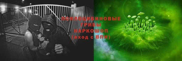 ECSTASY Снежинск