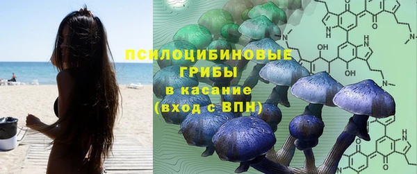 индика Бугульма