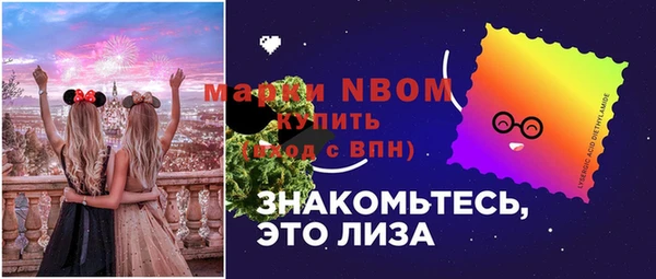 индика Бугульма