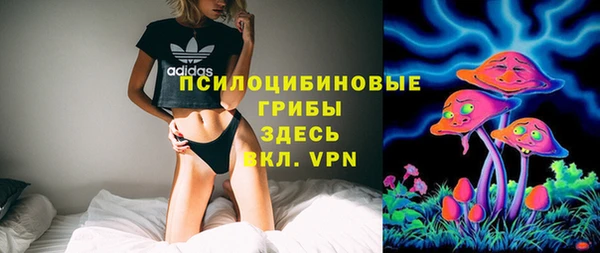 хмурый Бронницы