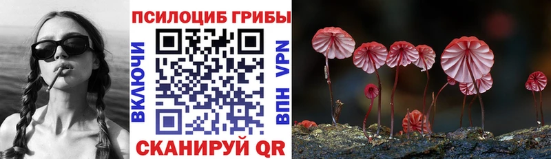 Галлюциногенные грибы Psilocybe  Пестово 